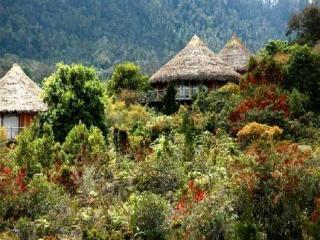Baliem Valley Resort Wamena Εξωτερικό φωτογραφία